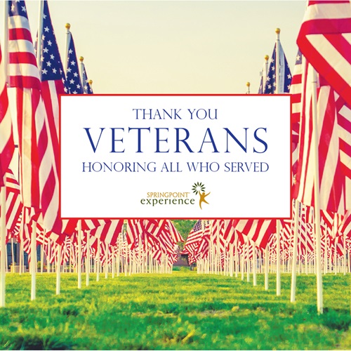 Veterans Day SPT